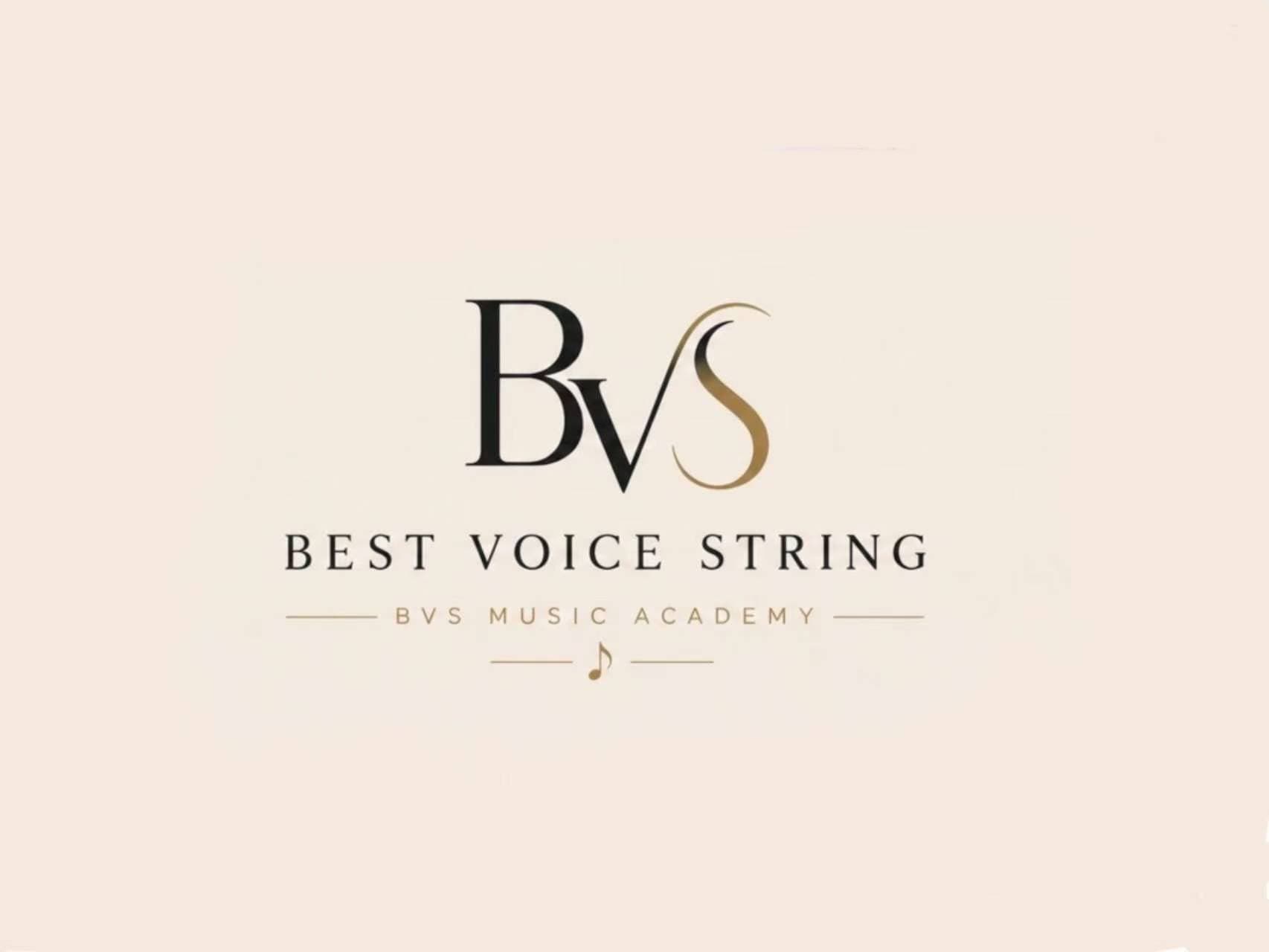 BVS Music Academy 品牌视觉